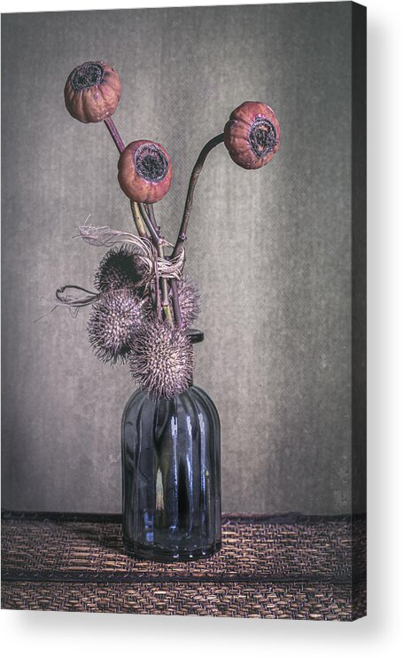 Plant Acrylic Print featuring the photograph Old Days by iek K?ral