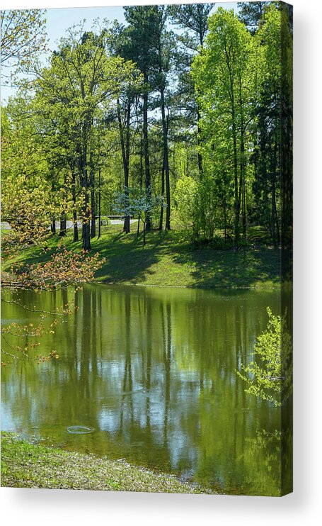 Lake Acrylic Print featuring the photograph On Golden Pond by Susan Rydberg