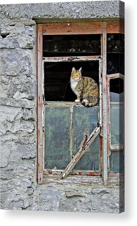 Aran Islands Acrylic Print featuring the photograph On The Lookout by Randall Dill