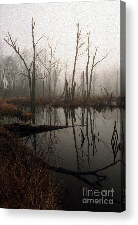 Scenic Acrylic Print featuring the photograph Painted Gloom At Dawn by Skip Willits