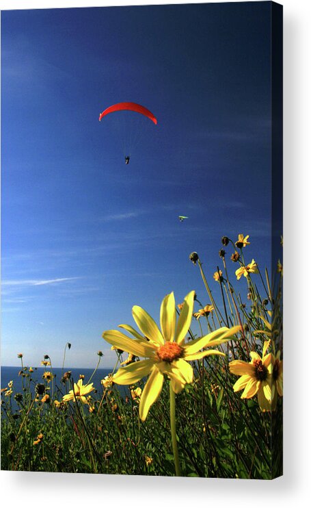 Landscape Acrylic Print featuring the photograph Paraglider by Scott Cunningham