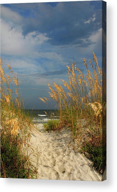 Ocean Acrylic Print featuring the photograph Path to the Ocean by Jerry Griffin
