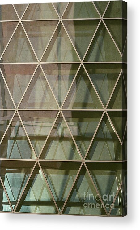 Abstract Acrylic Print featuring the photograph Patterns for Days by Ana V Ramirez