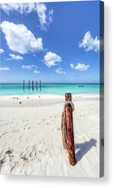 Aruba Acrylic Print featuring the photograph Pelicans Perch by David Letts
