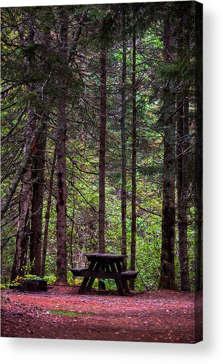 Forest Acrylic Print featuring the photograph Picnic Table by Paul Freidlund