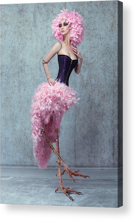 Doll Acrylic Print featuring the photograph Pink Bird Doll by Quality Pixels (marcin & Sylwia Ciesielski)