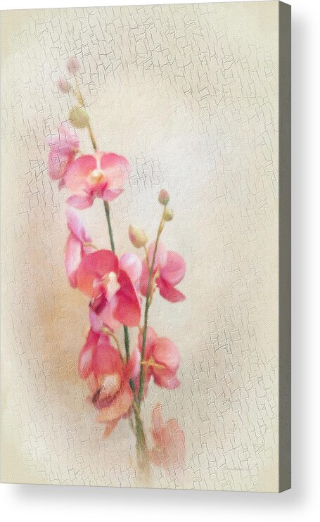 Orchid Acrylic Print featuring the photograph Pink Orchid by Diane Lindon Coy