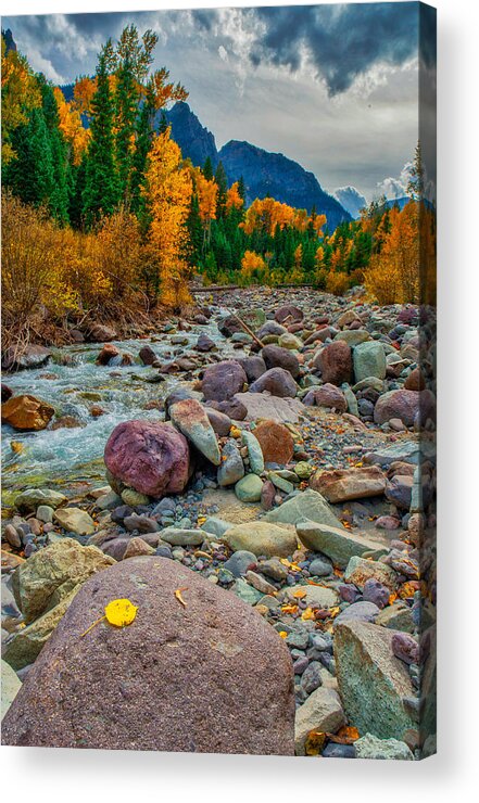 Colorado Acrylic Print featuring the photograph Point Of Color by Tom Gresham