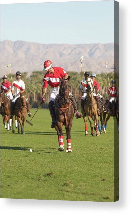 Horse Acrylic Print featuring the photograph Polo Player Advancing Ball by Moodboard