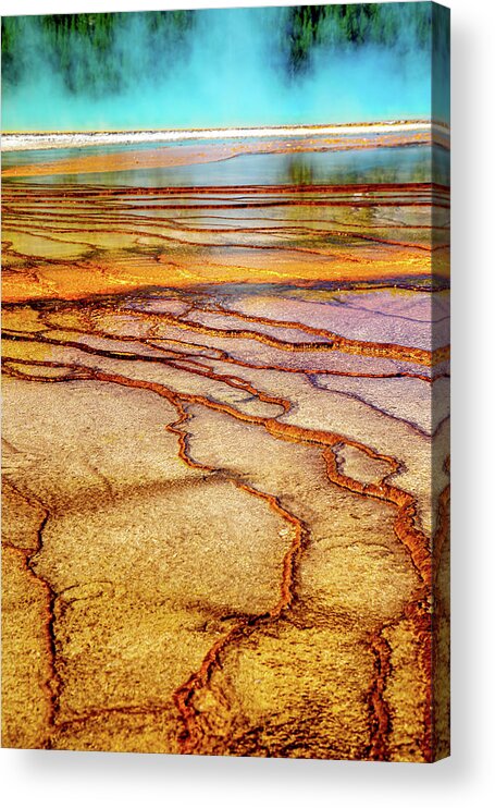 Vibrant Acrylic Print featuring the photograph Prismatic Abstract by Bryan Moore