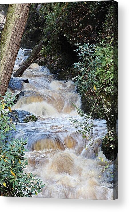 Waterfall Acrylic Print featuring the photograph Raging Beauty by Tina M Daniels  Whiskey Birch Studios
