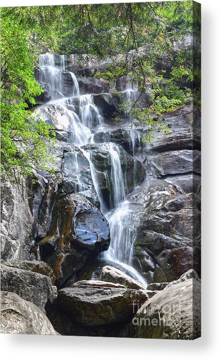 Ramsey Cascades Acrylic Print featuring the photograph Ramsey Cascades 8 by Phil Perkins