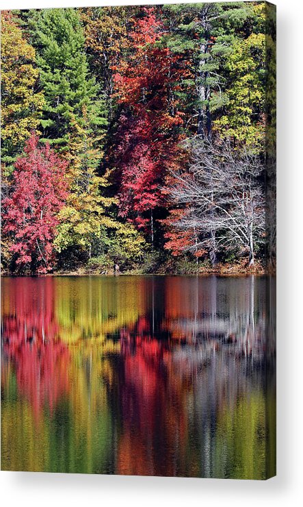 North Carolina Acrylic Print featuring the photograph Reflections On Fairfield Lake by Jennifer Robin