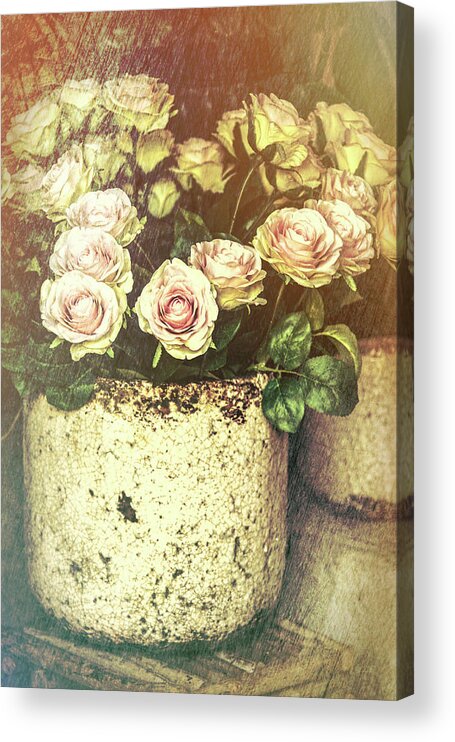French Acrylic Print featuring the photograph Romantic French Roses by Garry Gay