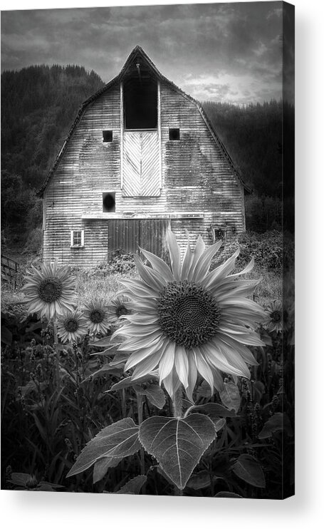 Barns Acrylic Print featuring the photograph Rustic in Black and White by Debra and Dave Vanderlaan