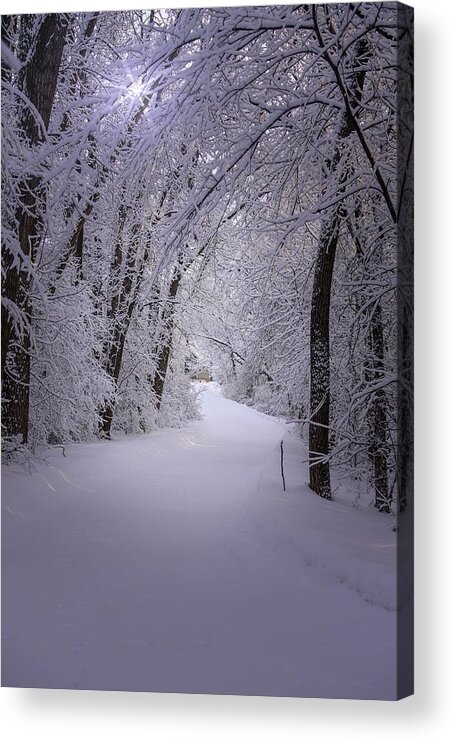 Winter Acrylic Print featuring the photograph Serenity by Susan Rydberg
