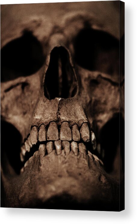 Skull Acrylic Print featuring the digital art Skull close up by Cambion Art