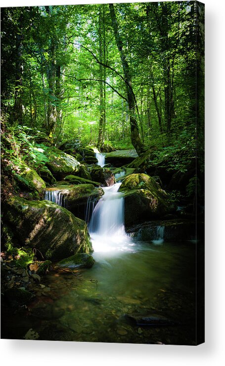 Smokey Mountains Acrylic Print featuring the photograph Smokey Mountain Tranquility by Randall Allen