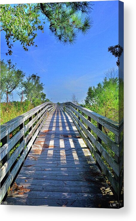 Southern Stroll Acrylic Print featuring the photograph Southern Stroll by Lisa Wooten
