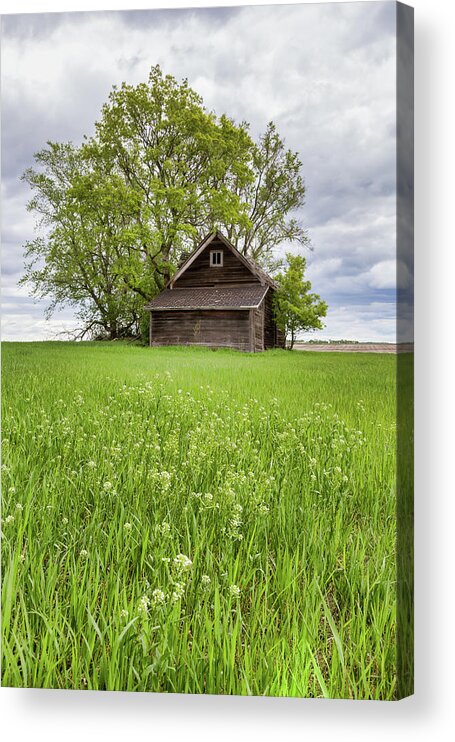 Rural Acrylic Print featuring the photograph Spring in the Country by Penny Meyers