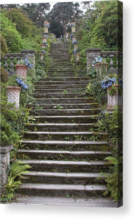 Steps Acrylic Print featuring the photograph Stone Steps In Garden by Andrew Holt