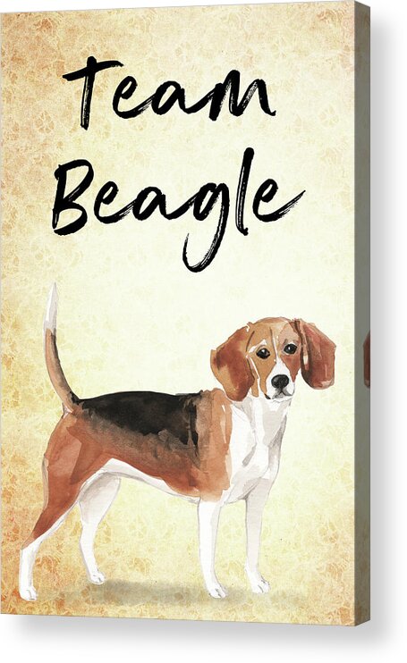 Beagle Acrylic Print featuring the painting Team Beagle cute Art for Dog lovers by Matthias Hauser