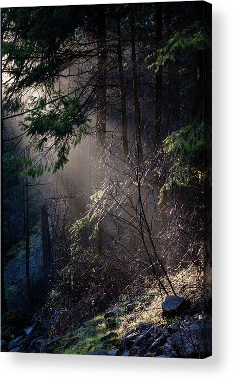 Art Acrylic Print featuring the photograph The Light by Gary Migues