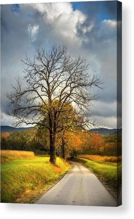 Appalachia Acrylic Print featuring the photograph The Road into Autumn by Debra and Dave Vanderlaan