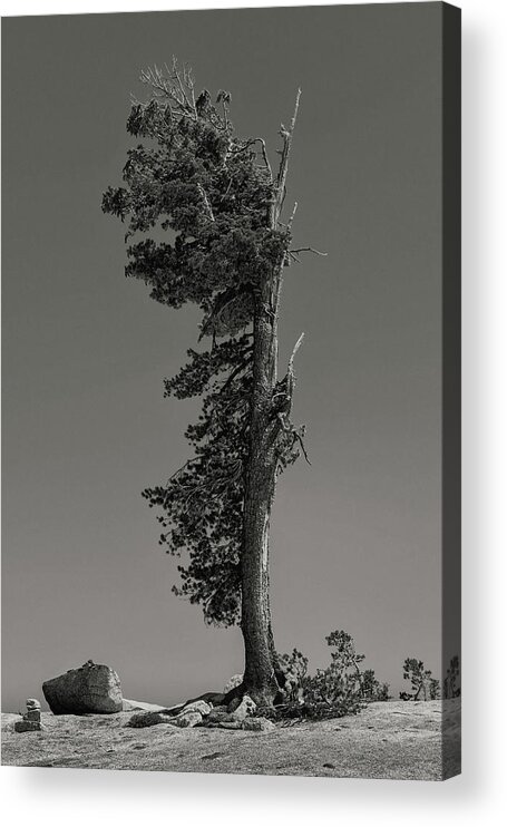 California Acrylic Print featuring the photograph The Shape of the Wind by Joseph Smith