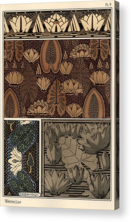 1841-1917 Acrylic Print featuring the drawing The water lily, Nelumbo lutea, in fabric, cross-stitch tapestry, and relief mold patterns. Lithog... by Album