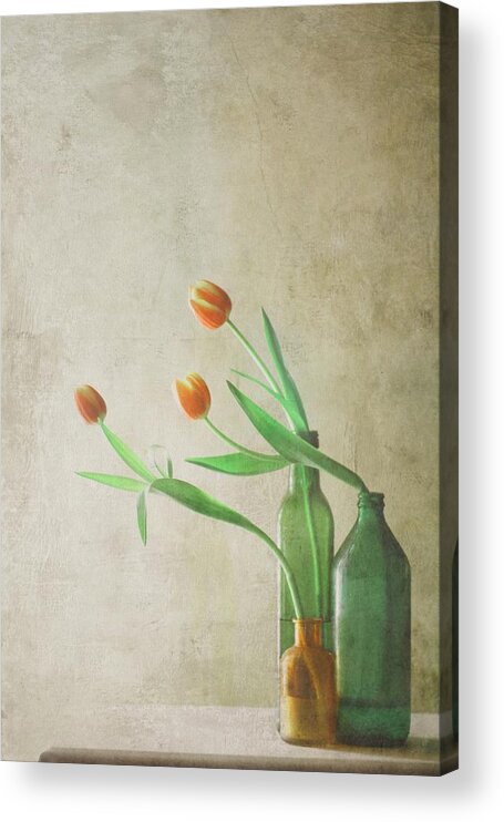 Still Life Acrylic Print featuring the photograph Three Tulips by Delphine Devos