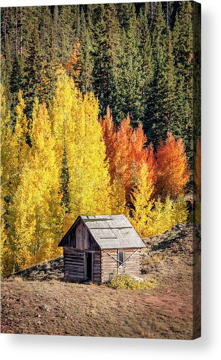 Cabin Acrylic Print featuring the photograph Tiny Shelter Beside Aspens by Denise Bush