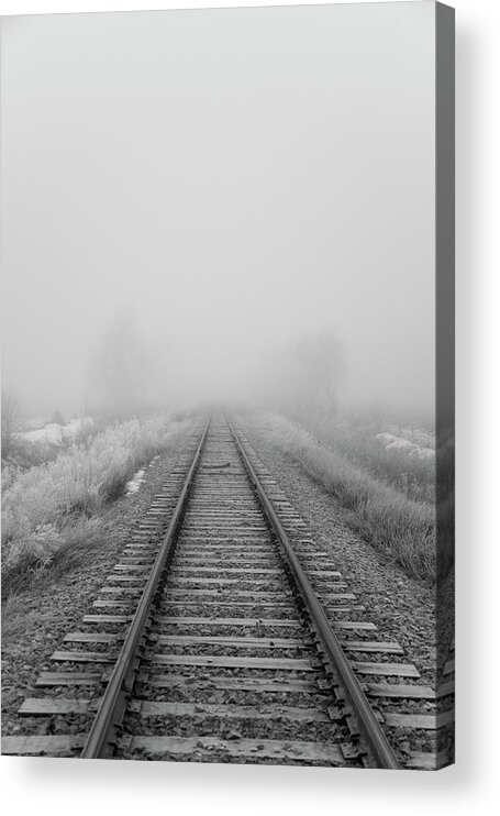 Tranquility Acrylic Print featuring the photograph Tracks by Jim Bushelle