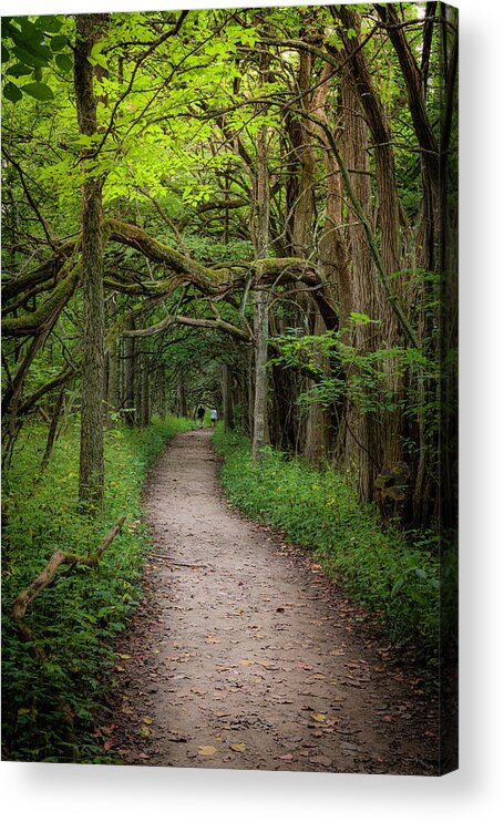Woods Acrylic Print featuring the photograph Tranquil Stroll by Arthur Oleary