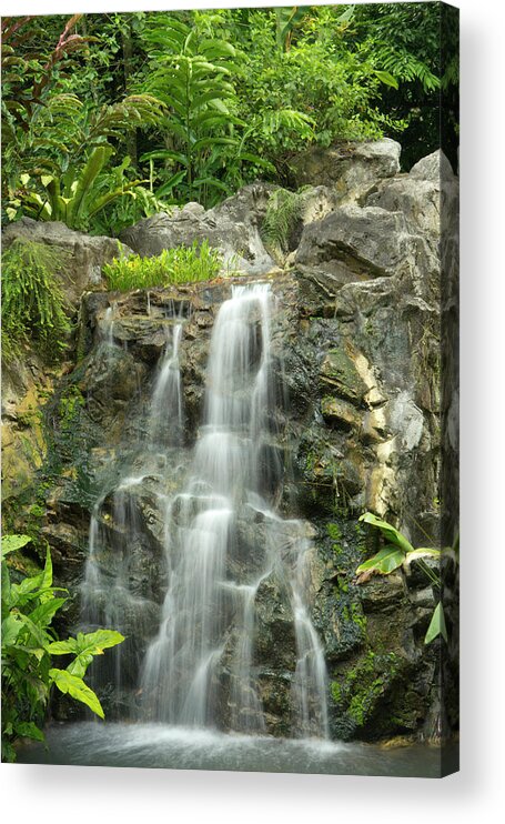 Tropical Rainforest Acrylic Print featuring the photograph Tropical Rainforest And Waterfall by Travelpix Ltd