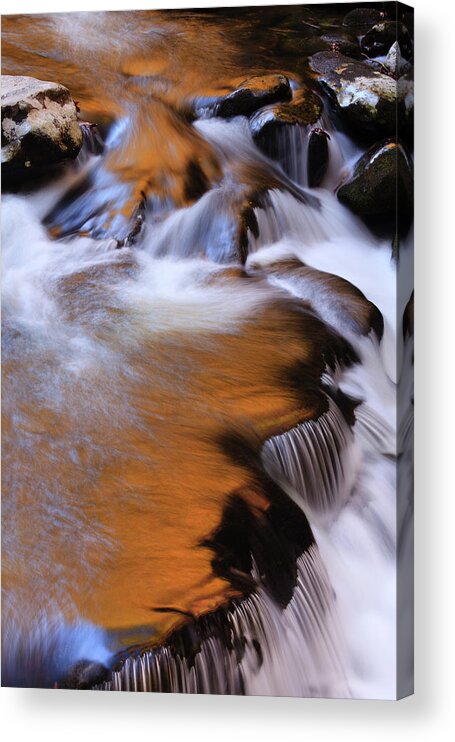 Agua Acrylic Print featuring the photograph USA, Tennessee Trees Along The Little by Joanne Wells