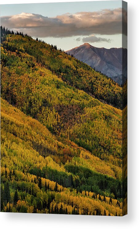 Colorado Acrylic Print featuring the photograph Vertical View Two by Denise Bush