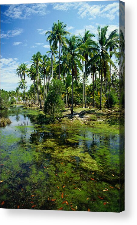 Southeast Asia Acrylic Print featuring the photograph Village And Lagoon, Marang, Terengganu by Richard I'anson