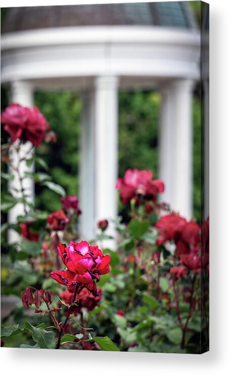 Asia Acrylic Print featuring the photograph VP Garden 2 by Bill Chizek