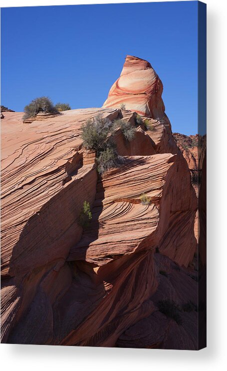 Desert Acrylic Print featuring the photograph Whale's Eye by Ivan Franklin