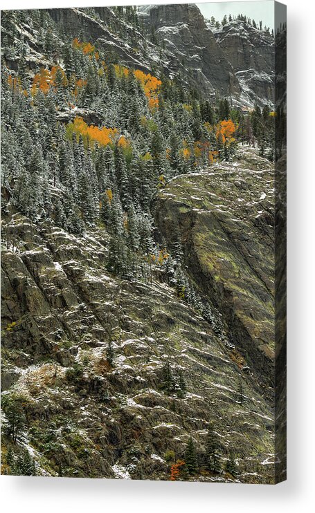 White Lace And Autumn Slivers Acrylic Print featuring the photograph White Lace And Autumn Slivers by Bill Sherrell