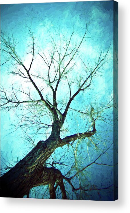 Blue Acrylic Print featuring the photograph Winter Tree Blue by James BO Insogna
