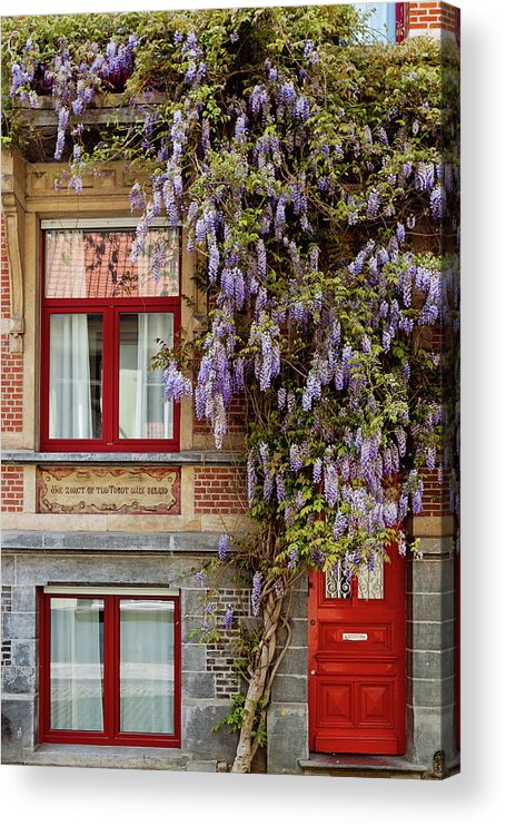 Ghent Acrylic Print featuring the photograph Wisteria in Ghent by Melanie Alexandra Price
