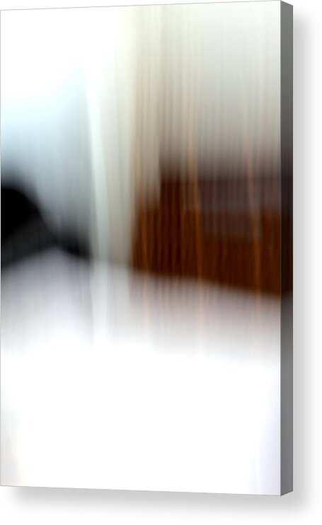 Abstract Acrylic Print featuring the photograph The Woods in Winter by Joe Kozlowski