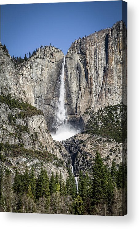 Yosemite Acrylic Print featuring the photograph Yosemite Falls by Gary Geddes