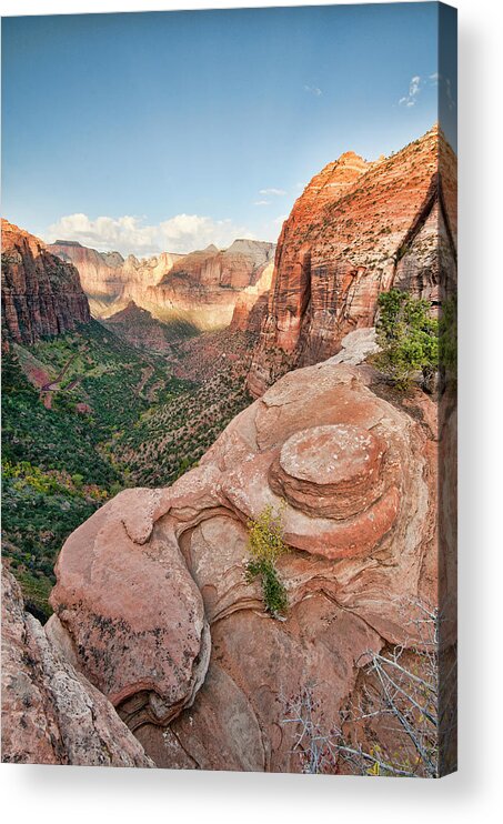 Tranquility Acrylic Print featuring the photograph Zion National Park by Brook Tyler Photography