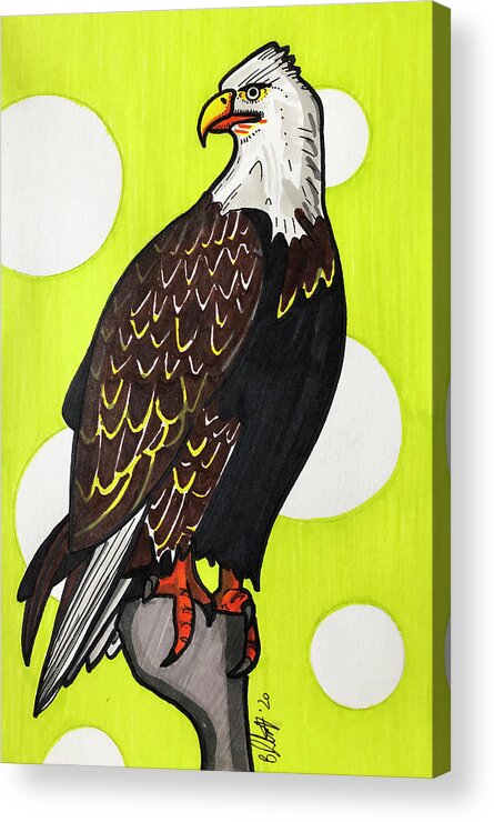 American Bald Eagle Acrylic Print featuring the drawing American Bald Eagle #1 by Creative Spirit