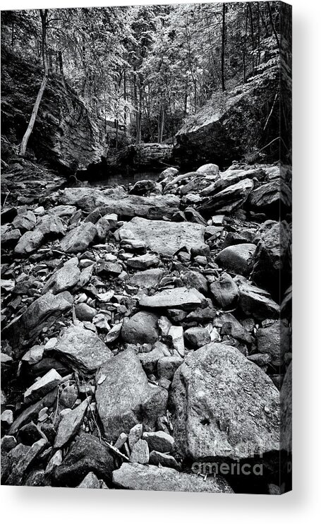 Tennessee Acrylic Print featuring the photograph Black and White Rocks #1 by Phil Perkins