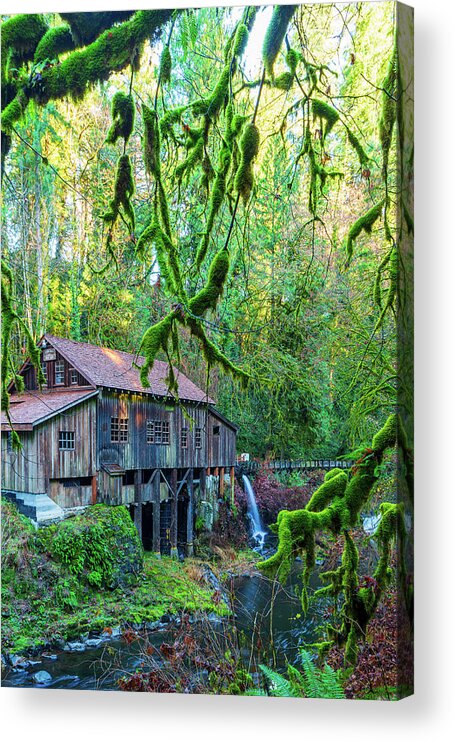Outdoors; Beauty In Nature; Architecture; Stream; Cedar Creek; Scenic; Cedar Creek Grist Mill; Washington; Tranquility; Calm; Tree; Winter; Woodland; Grist Mill; Waterfall; House; Historical Structure; Washington Beauty Acrylic Print featuring the digital art Cedar Creek Grist Mill #1 by Michael Lee