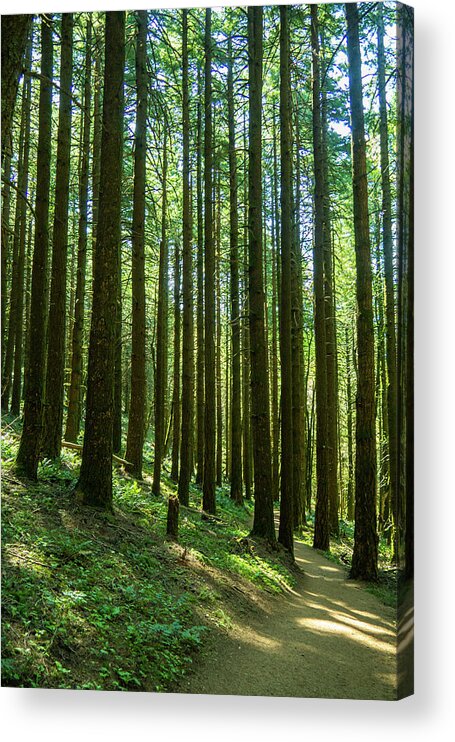Columbia River Gorge Acrylic Print featuring the photograph Go Take A Hike #2 by Leslie Struxness
